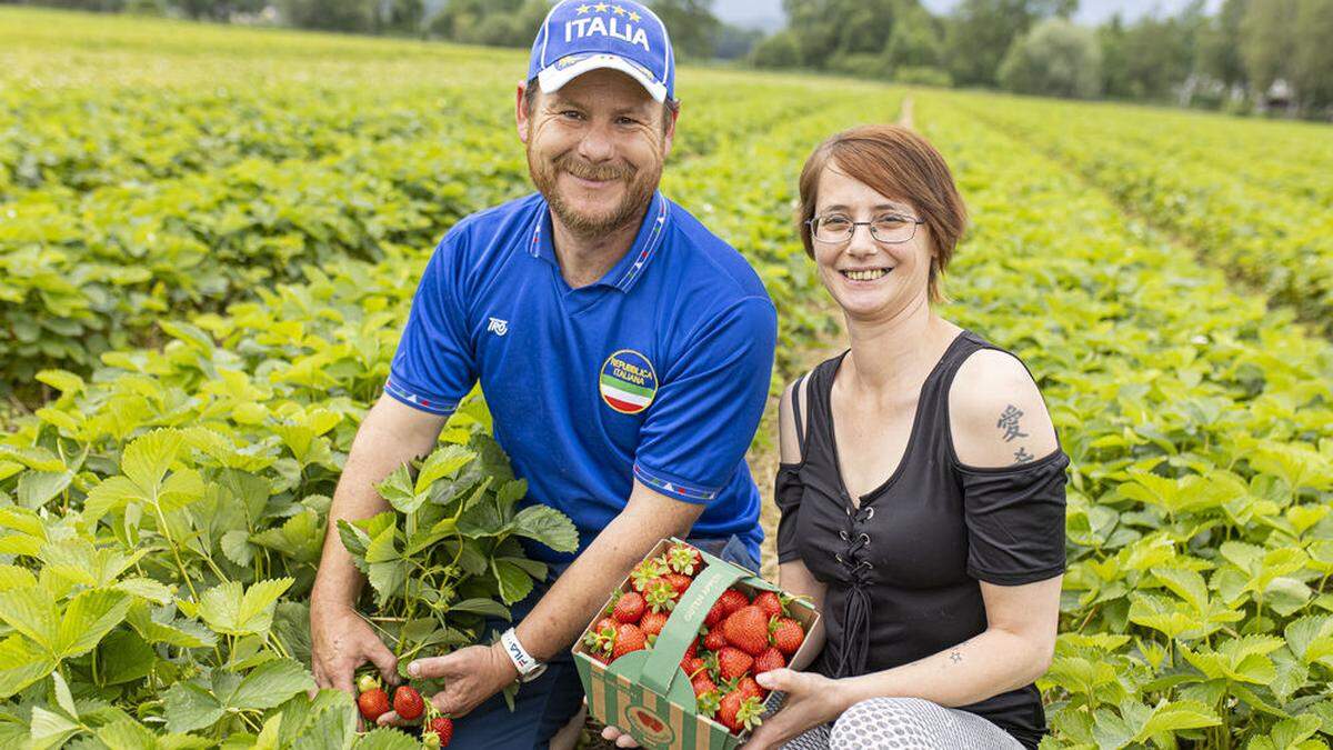 Thomas Herg und Alexandra Maier im Erdbeerland am Südring. 