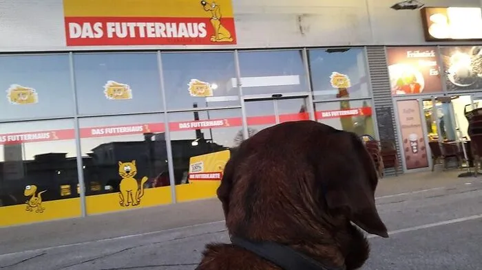 Im Geschäftslokal war zuvor eine "Fressnapf"-Filiale