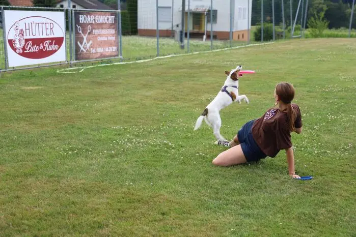 Hunde aus Slowenien, Kroatien, Ungarn, Holland, Schweiz, Bulgarien, Griechenland, Deutschland, Spanien, Italien und Österreich jagten dem Frisbee bis zu 80 Metern nach 