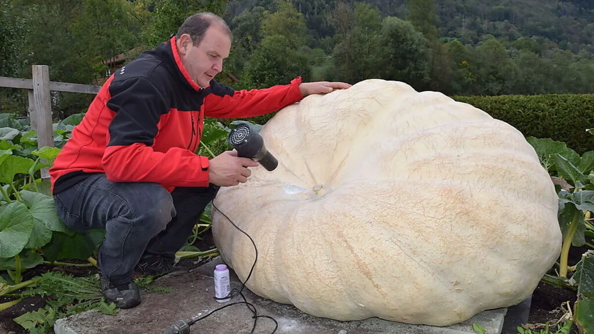 Hubert Klein, sein Föhn und das Babypuder im Kampf gegen die Fäulnis