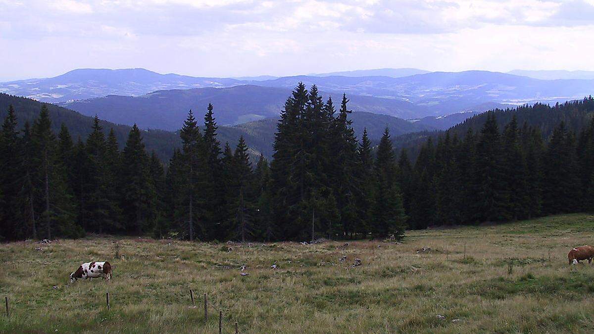 Der Hochwechselalm soll entwaldet werden