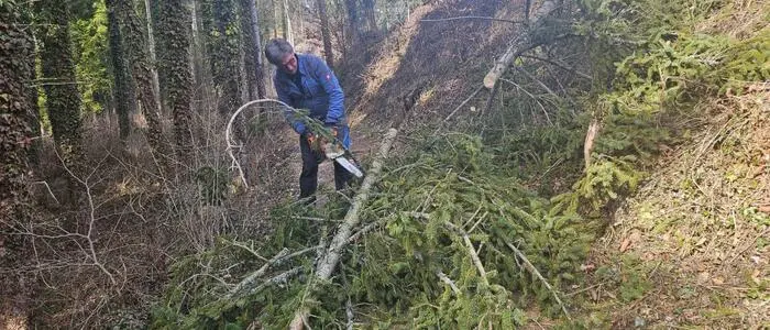 Auch fast 14 Tage nach dem massiven Schneefall im Bezirk Weiz sind die Spuren noch nicht beseitigt