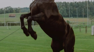 Der Film "Cornetto im Gras" von David Lapuch feiert auf der Diagonale 2023 Premiere