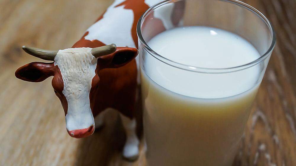 Die Milchleistung pro Kuh ist im vergangenen Jahr aber gestiegen