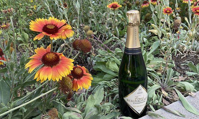 Champagner von Franck Bergeronneau - im Austausch für den Stellplatz für eine Nacht