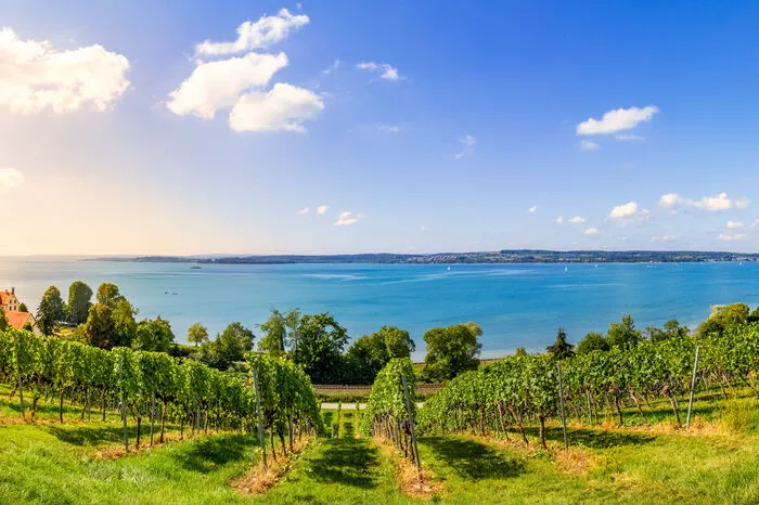 Bodensee (Deutschland, Schweiz, Österreich): Als Teil von Deutschland, Schweiz und Österreich fällt hier jedoch die Entscheidung sehr schwer, von welchem Ufer man ins kühle Nass springen soll. Während auf der deutschen Seite Städte wie Konstanz, Meersburg und Lindau liegen, kann man am österreichischen Ufer die Stadt Bregenz und an der Schweizer Seite die Stadt Arbon erkunden.