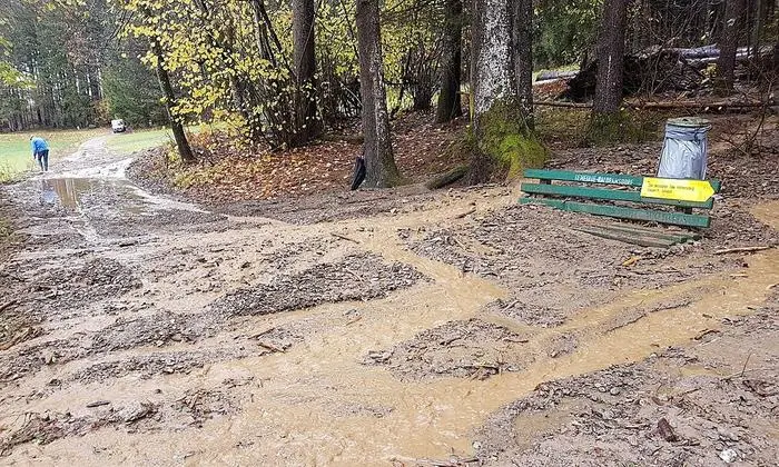 Am Waldweg zwischen Gendorf und Baldramsdorf ist eine kleine Mure heruntergekommen
