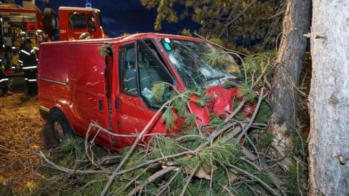 Der Kleinbus wurde unter einem Baum begraben 