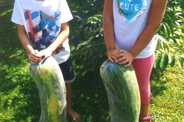 Leonie und Matteo freuen sich über zwei Kürbis-Prachtexemplare im Garten von Oma Monika Schober in Straden