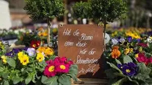 Seit Februar bereitet man sich in den Gärtnereien im Bezirk Lienz auf den Start der Gartensaison vor