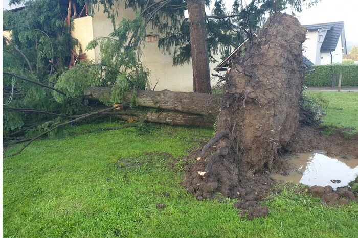 Riesige Bäume wurden kurzerhand entwurzelt: Hier im Grazer Schaftal und...