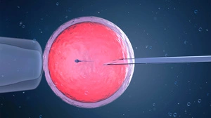 Das „Social Egg Freezing“ soll so schnell wie möglich gesetzlich verankert werden