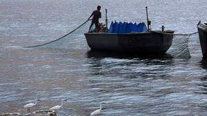 Wie zur Zeit Jesu: Ein Fischer holt am See Genezareth seine Netze ein	APA/PICTUREDESK