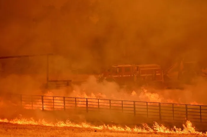 Das "County Fire" breitete sich nach Angaben der Feuerwehr auf rund 9000 Hektar Fläche aus.