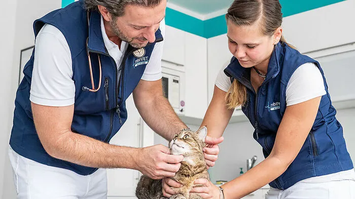 Tierarzt Stefan Moser und Assistentin Victoria Zsifkovits