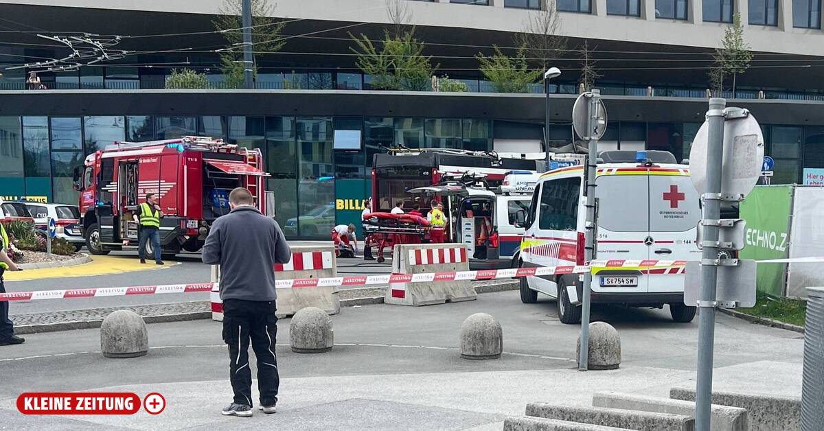 Top manager and Olympic sailor died in trolleybus accident