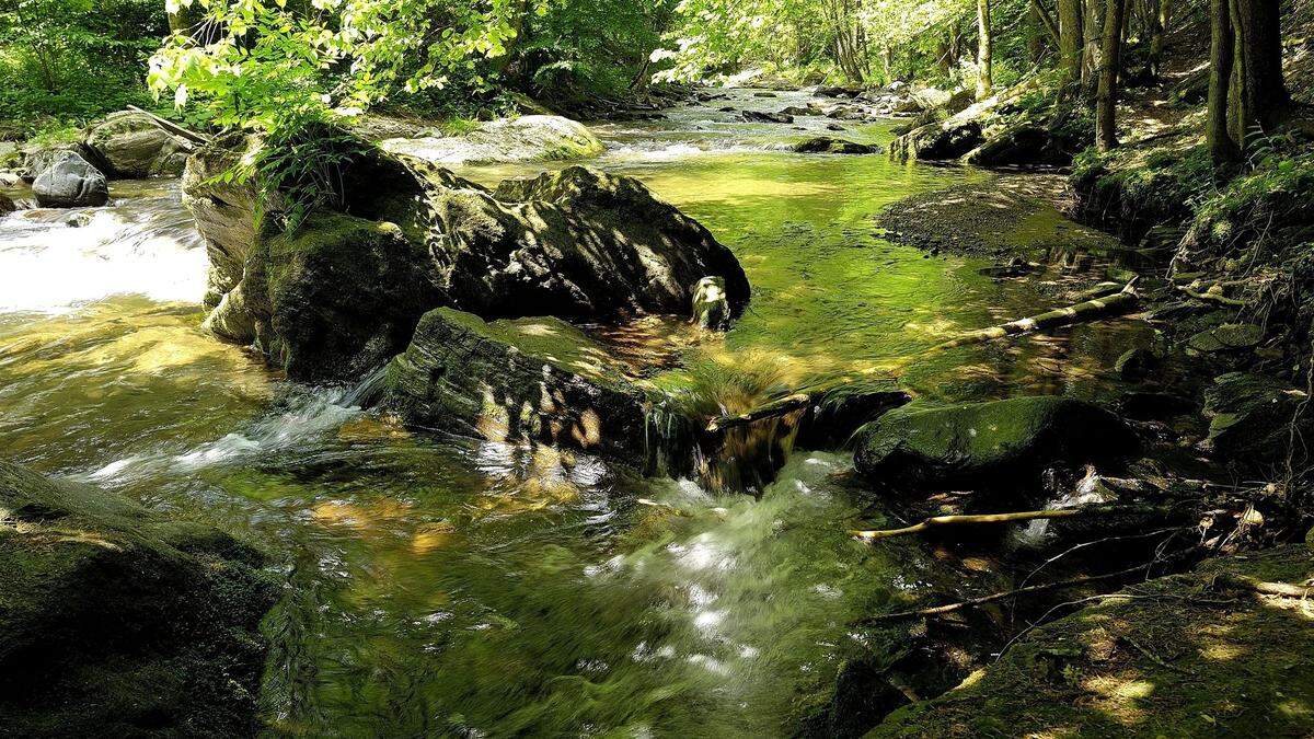 Teile der Schwarzen Sulm befinden sich im Natura-2000-Schutzgebiet 