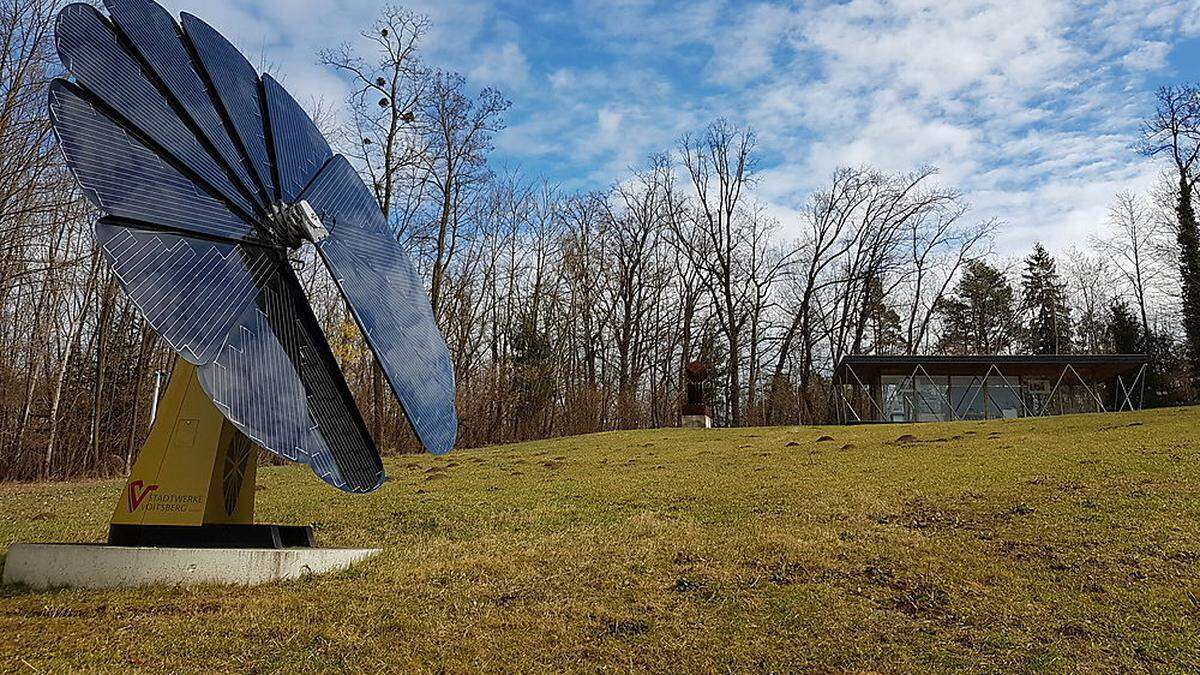 Am Schlossberg in Voitsberg wird ein Naturerlebnispfad mit Schaukästen errichtet