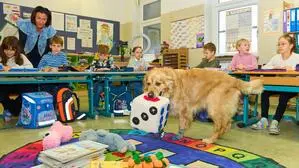 Ein Teil einer Schulklasse mit einer goldfarbenen Hündin in der Mitte