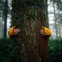 Im ersten Lockdown trafen sich Ennstaler Jugendliche unerlaubt im Wald