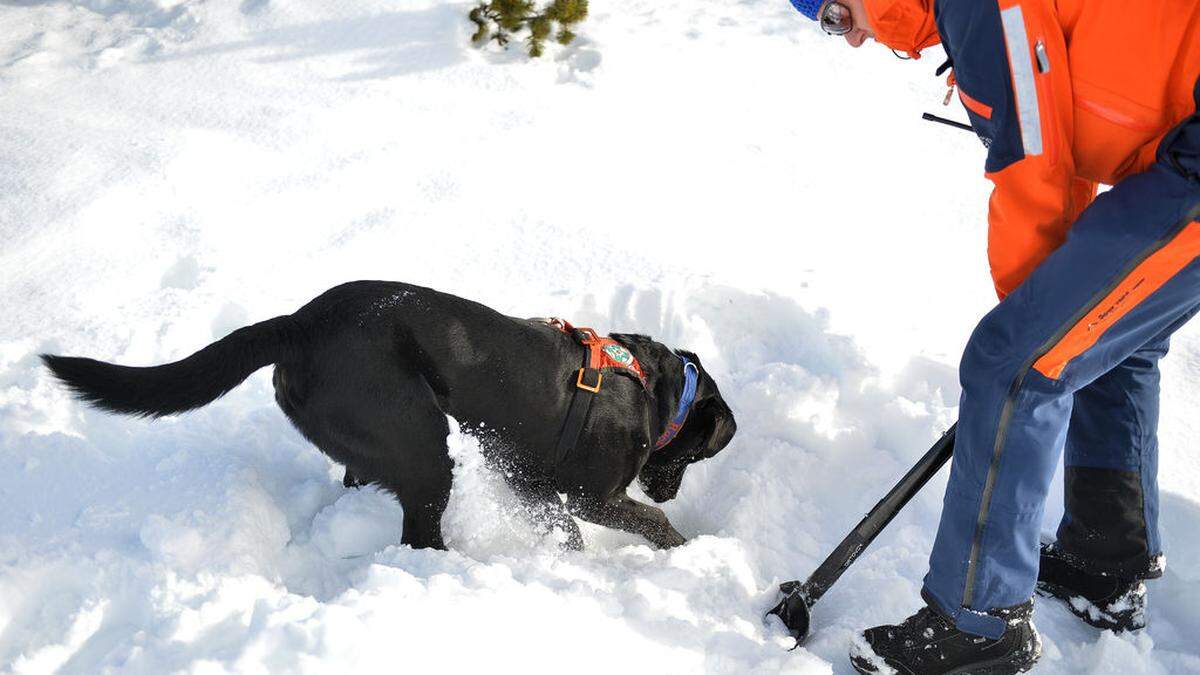 Auch Hunde kamen bei der Suchaktion nach dem Lawinenabgang zum Einsatz (Archivbild).