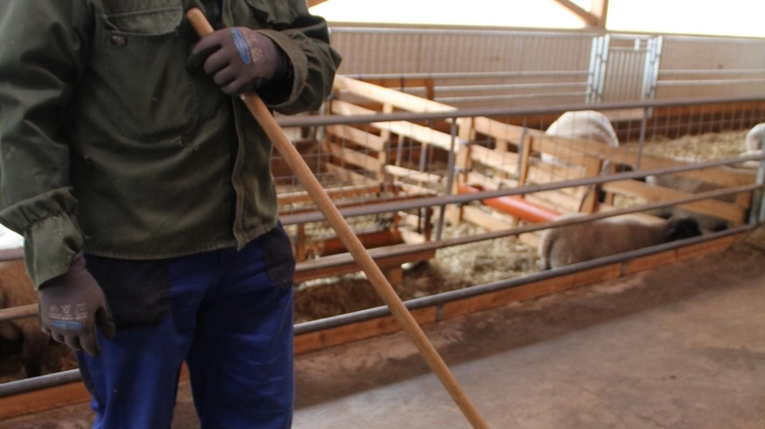 Landwirt Josef Straßer bei der Arbeit. Im Dezember 2015 übergab er an Sohn Markus den Betrieb.