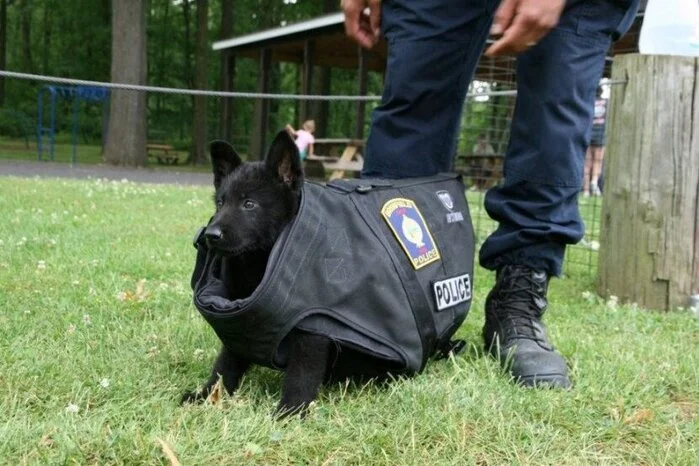 Auch die Polizei in Brimfield zeigt Bilder ihrer Neuzugänge.