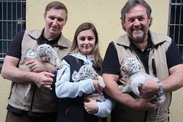 Zoo-Chef Herbert Eder (Mitte) mit seinen Mitarbern und den Tigerbabys.