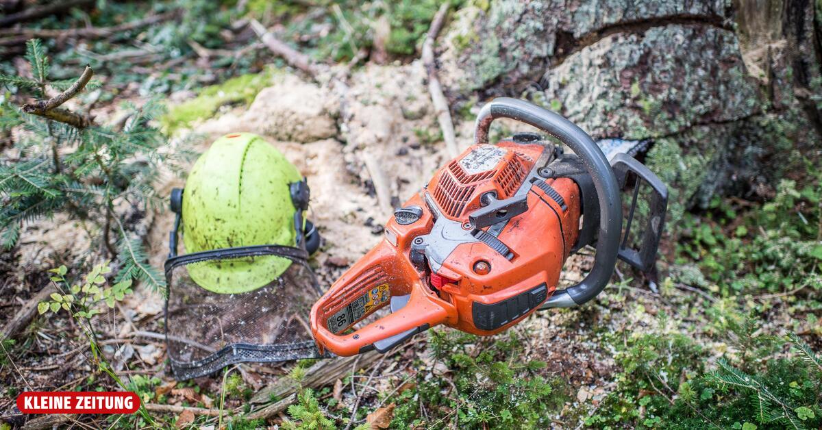 Tree on winch slid downhill: worker hit and seriously injured