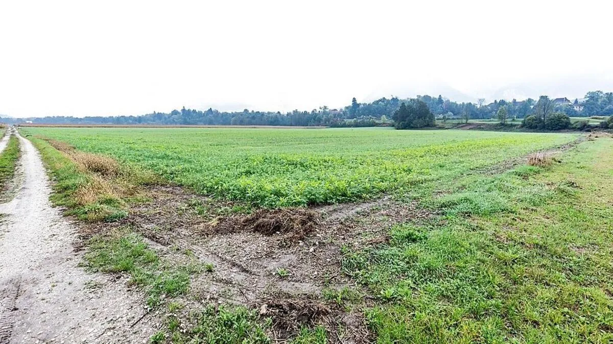 Hier soll das neue Sportzentrum entstehen.