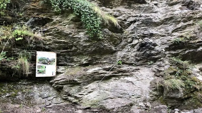 Der "Hohe Steg" befindet sich nur wenige Minuten von Predlitz entfernt.