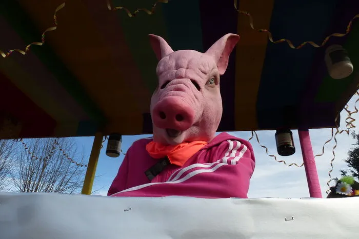 Tierische Momente mitten im Fasching: Kraubath ließ die Sau raus