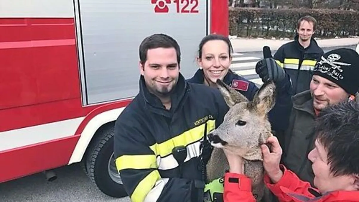 Rehkitz konnte der Besitzerin übergeben werden 
