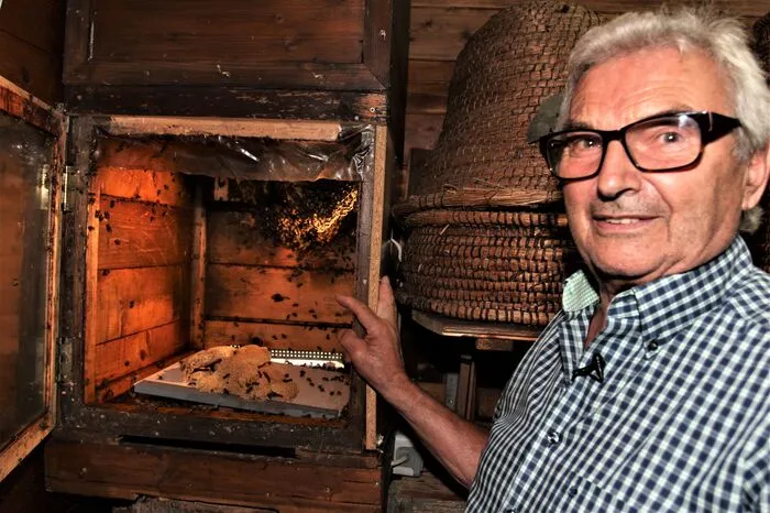 Auch der Blick in einen Bienenstock ist möglich