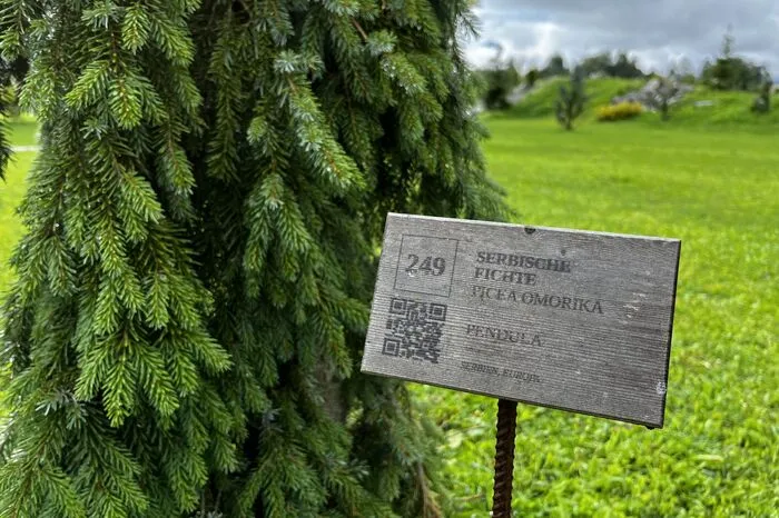 Mehr Infos über das jeweilige Gehölz gibt es via QR-Code.