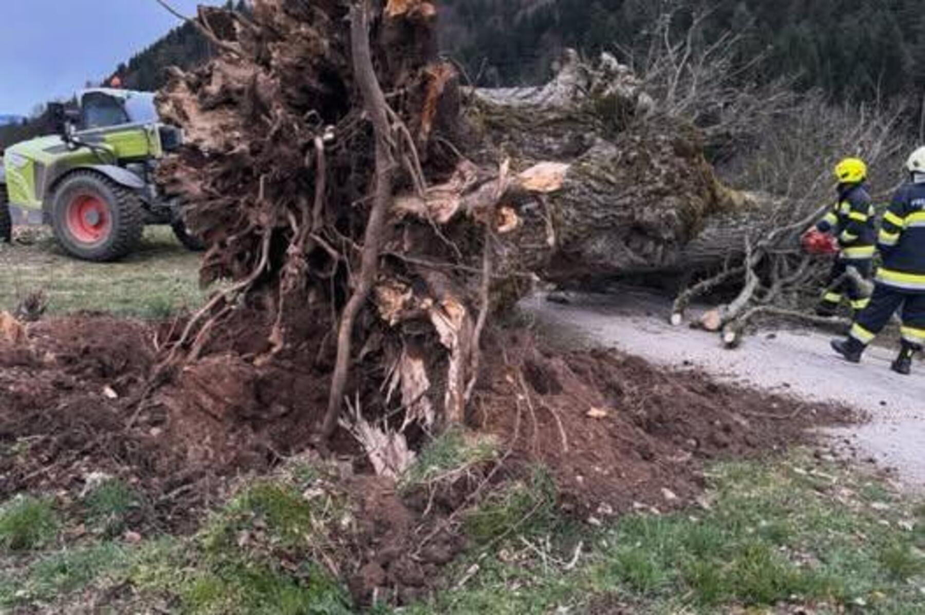 3700 Haushalte ohne Strom: Sturm sorgt in Kärnten für Schäden an Häusern und Straßen