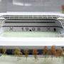 So soll es aussehen, das neue Stadion des LASK.