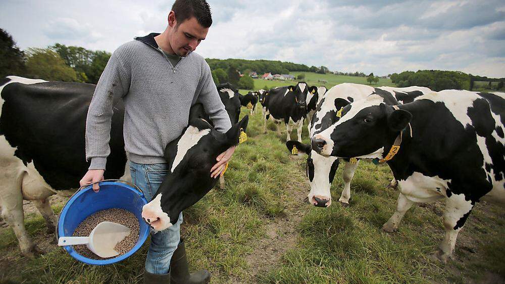 Deutschlands Milchbauern bekommen Unterstützung
