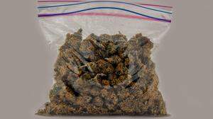 Fünf Kilogramm Cannabiskraut soll ein 22-jähriger Mann verkauft haben