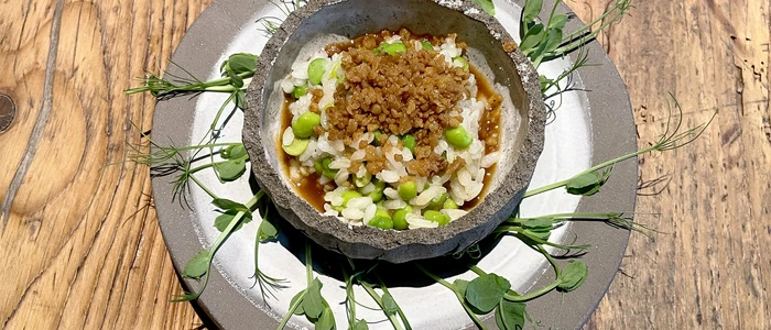 Klassische Hausmannskost wie Risi-Pisi, Breinwurst oder Steirerkrapfen stehen im Haus Zirngast mit modernem Feinschliff auf der Speisekarte.