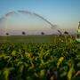Heißere und trockenere Sommer: Landwirtschaft braucht künftig mehr Wasser