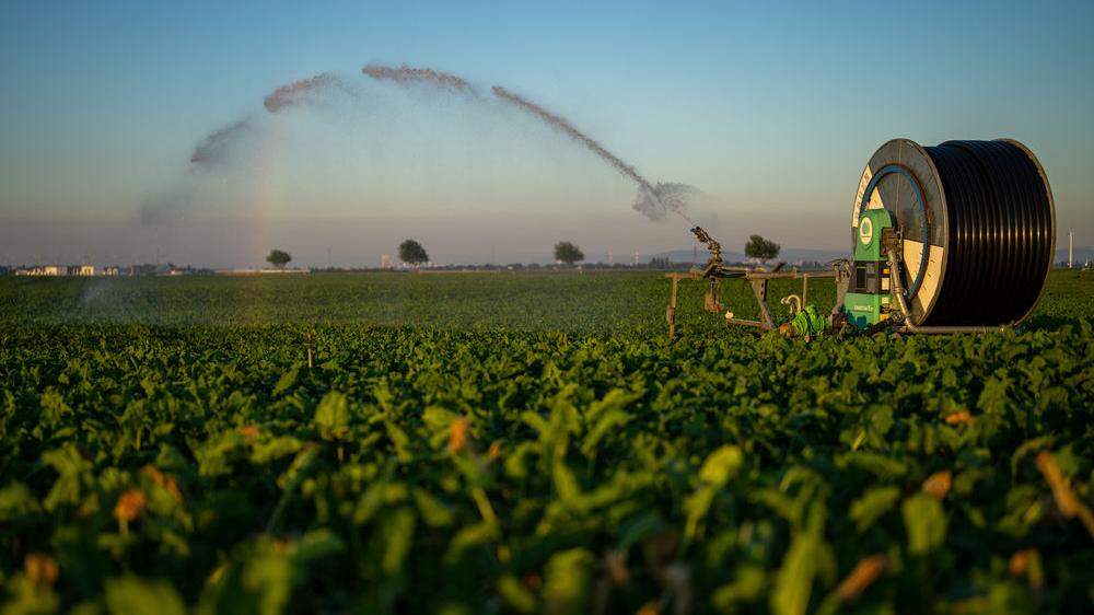 Heißere und trockenere Sommer: Landwirtschaft braucht künftig mehr Wasser