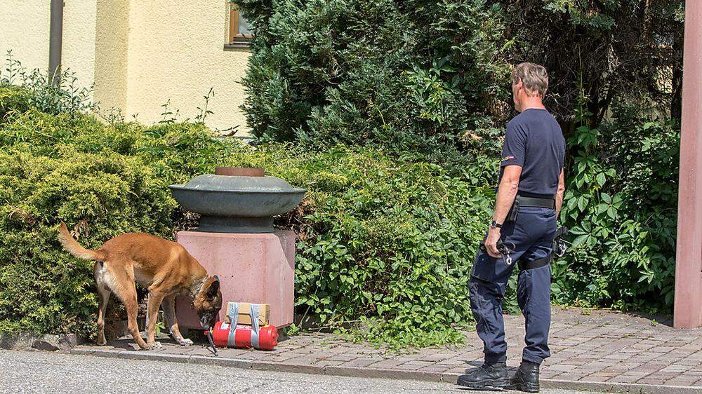 Mit Hunden rücken Sprengstoff-Experten der Polizei verdächtigen Gegenständen zu Leibe