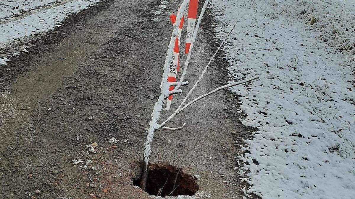 Ein Biber gräbt unter einem Weg in Unterrohr – verhindern kann man es nicht