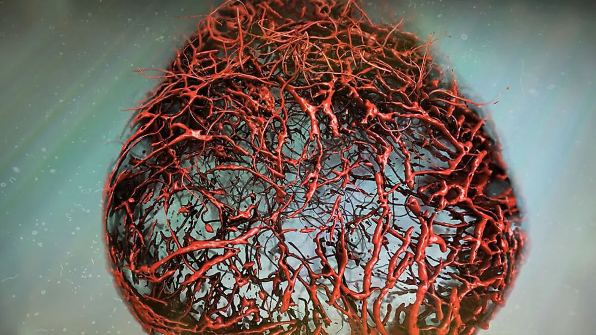 Eine Illustration des Modells