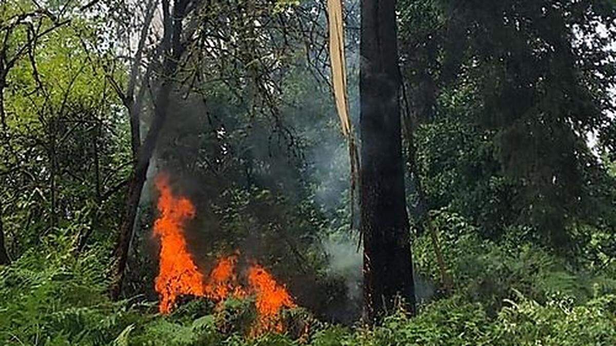 Waldbrand am Ehrentalerberg