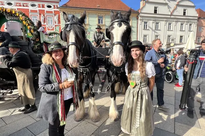 Die Bierwagen der Brauerei Göss sind sehr gefragt
