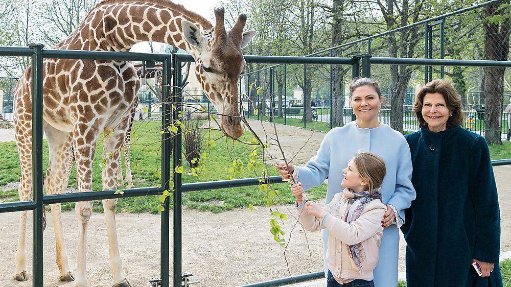Königin Silvia mit Tochter Victoria und Enkelin Estelle im Tiergarten Schönbrunn