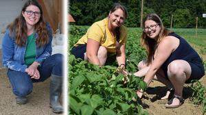Theresa Krautgartner und die Schwestern Kerstin und Andrea Radl teilen die Leidenschaft für die Landwirtschaft