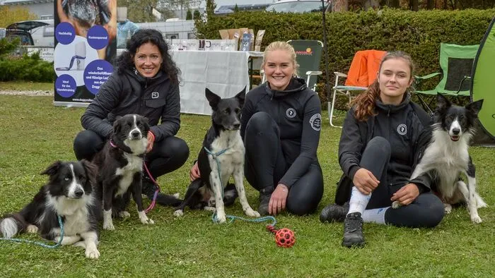 Beim Agility werden Hunde von ihren Hundeführern ausschließlich durch Körpersprache und Hörzeichen durch einen Parcours voller Hindernisse geführt.